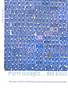 Pierre Buraglio... des bleus..